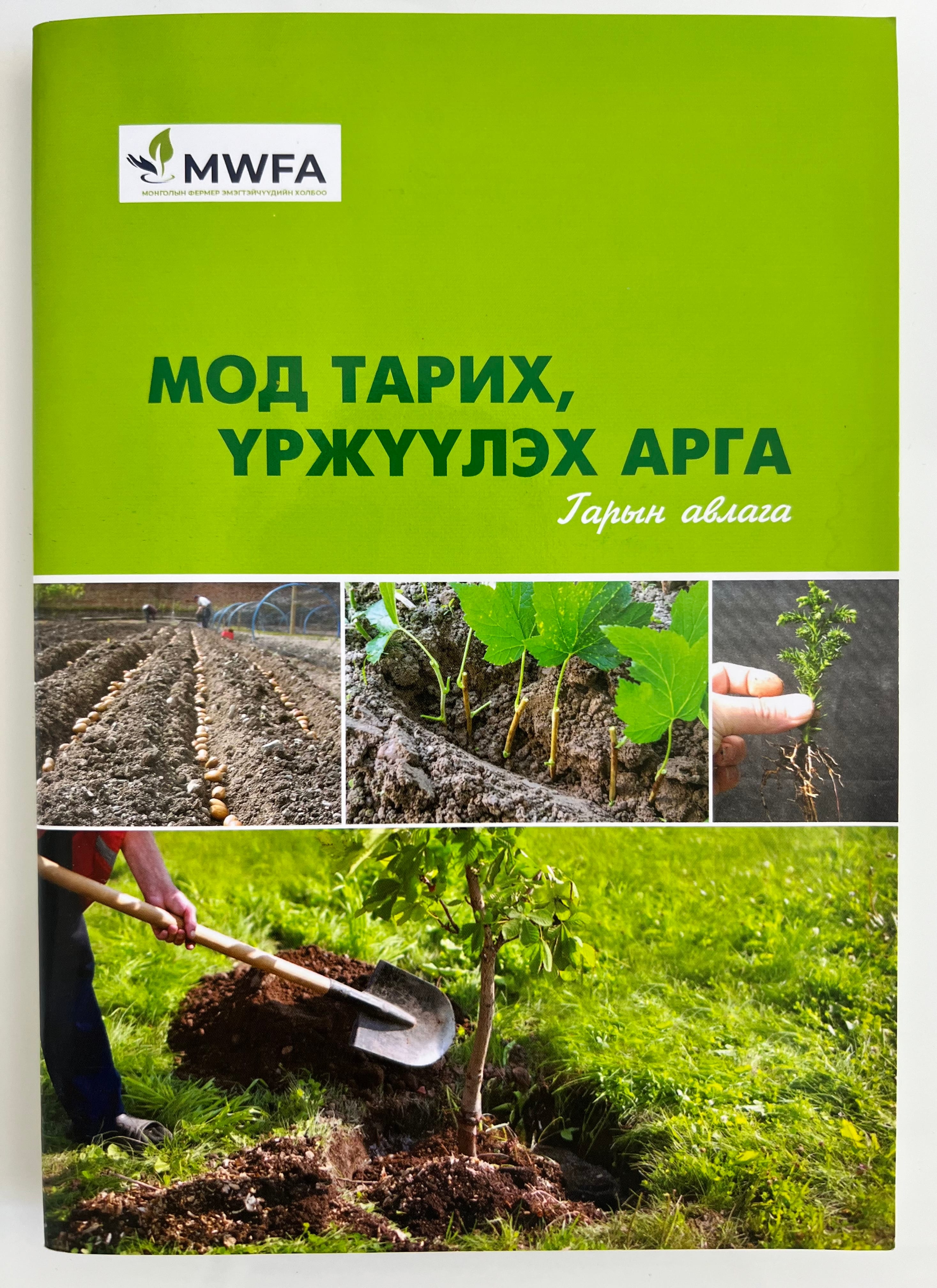 Мод тарих үржүүлэх /гарын авлага/